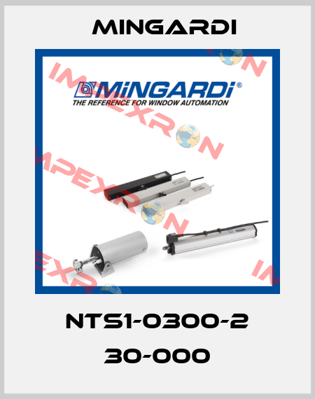 NTS1-0300-2 30-000 Mingardi
