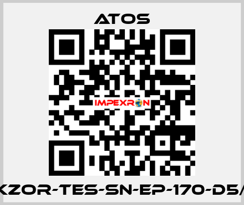 DKZOR-TES-SN-EP-170-D5/FI Atos
