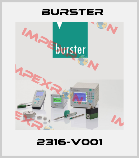 2316-V001 Burster