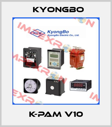 k-PAM V10 Kyongbo