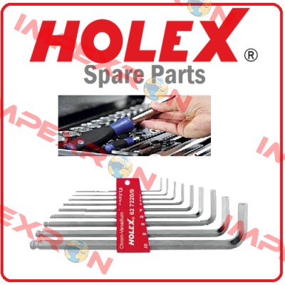 141050-10X1,25 Holex