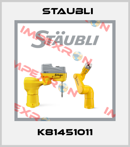 K81451011 Staubli