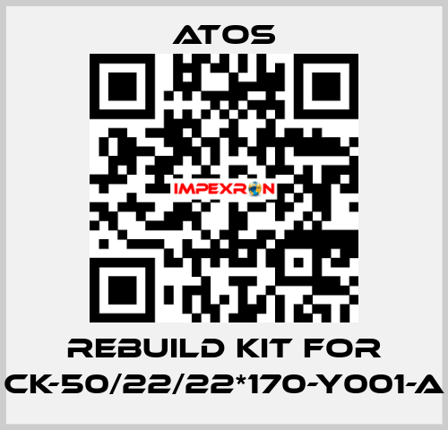 rebuild kit for CK-50/22/22*170-Y001-A Atos
