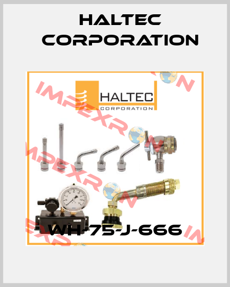 WH-75-J-666 Haltec Corporation