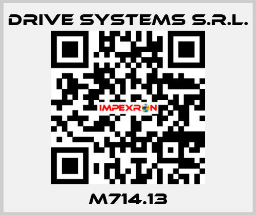 M714.13 DRIVE SYSTEMS s.r.l.