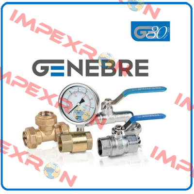 2026V 30 05 / 3/4" + CT GE-0 AND POSITIONER Genebre