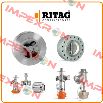 9800000156 / ZRK 1 DN100 PN10-40 Ritag