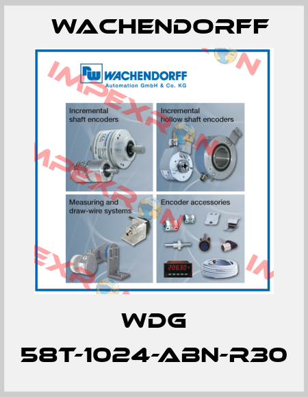 WDG 58T-1024-ABN-R30 Wachendorff