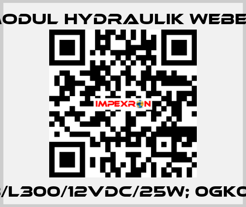 M33/L300/12VDC/25W; 0GK01001 MODUL HYDRAULIK WEBER