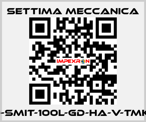 GR40-SMIT-100L-GD-HA-V-TMK-CSM Settima Meccanica