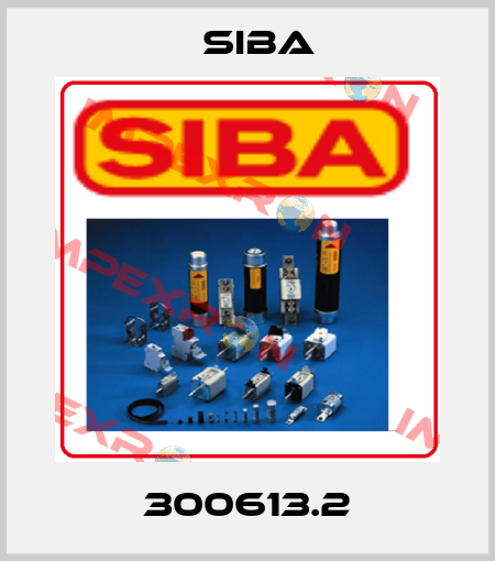 300613.2 Siba