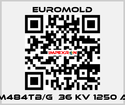 M484TB/G  36 KV 1250 A EUROMOLD