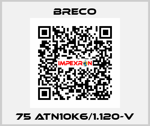 75 ATN10K6/1.120-V Breco