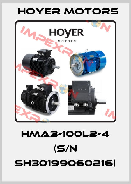 HMA3-100L2-4 (s/n SH30199060216) Hoyer Motors