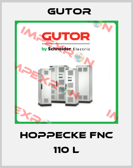HOPPECKE FNC 110 L Gutor