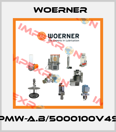 PMW-A.B/5000100V4S Woerner