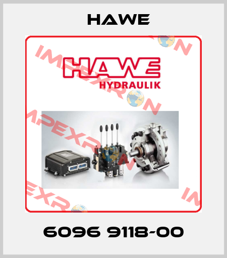 6096 9118-00 Hawe