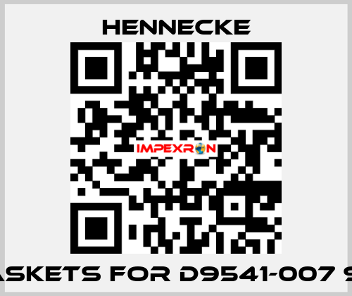 gaskets for D9541-007 913 Hennecke