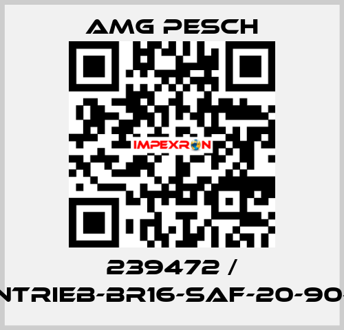 239472 / AMG-Antrieb-BR16-SAF-20-90-01-n=12 AMG Pesch