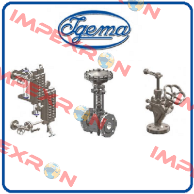 70-00004 Igema