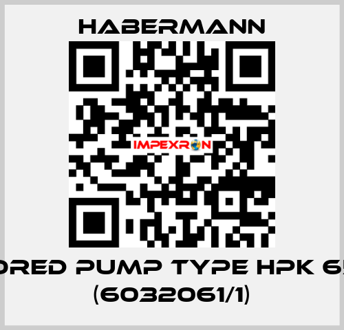 Armored pump type HPK 65/300 (6032061/1) HABERMANN
