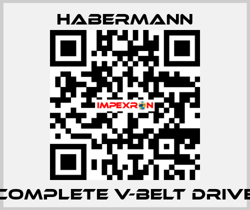 Complete V-belt drive HABERMANN