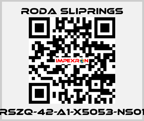 RSZQ-42-A1-X5053-NS01 Roda Sliprings