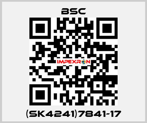 (SK4241)7841-17 BSC