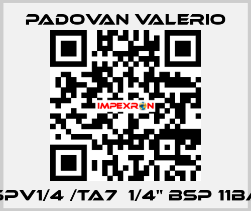 VSPV1/4 /TA7  1/4" BSP 11bar PADOVAN VALERIO
