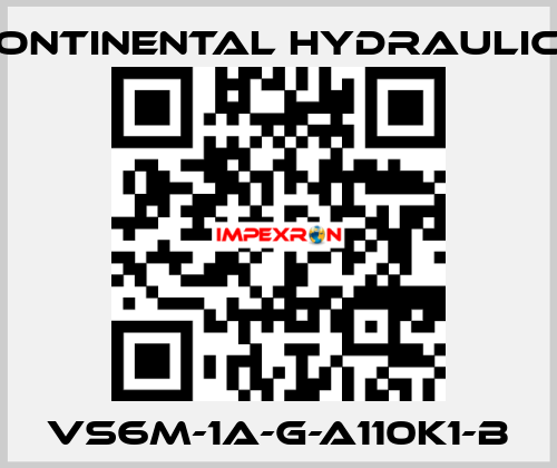 VS6M-1A-G-A110K1-B Continental Hydraulics