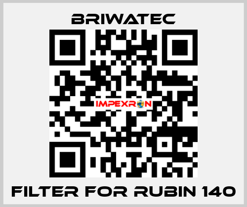 Filter for RUBIN 140 Briwatec