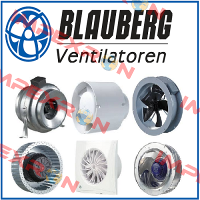 AXISQA200 /8013393 Blauberg