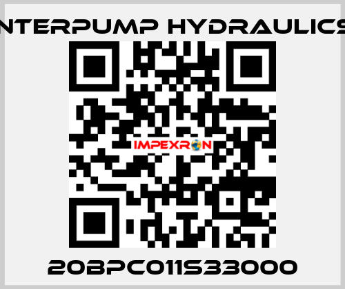 20BPC011S33000 Interpump hydraulics