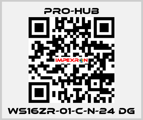 WS16ZR-01-C-N-24 DG Pro-Hub