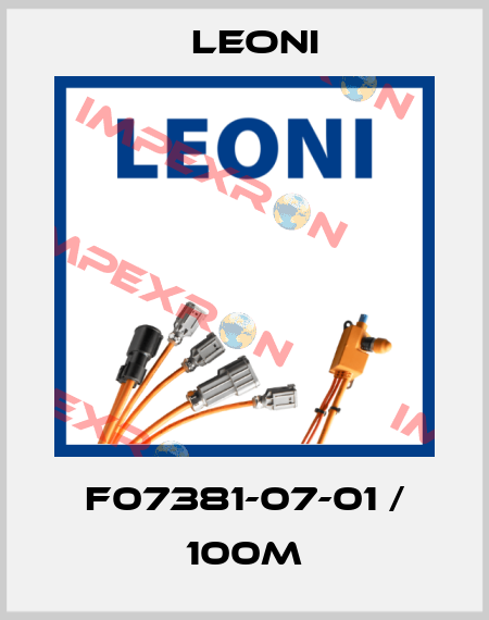 F07381-07-01 / 100m Leoni