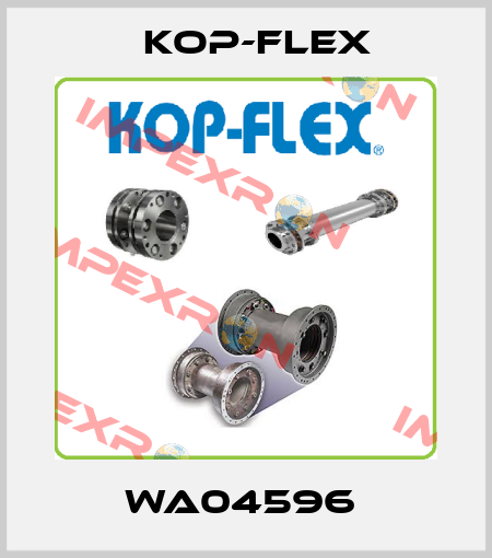 WA04596  Kop-Flex