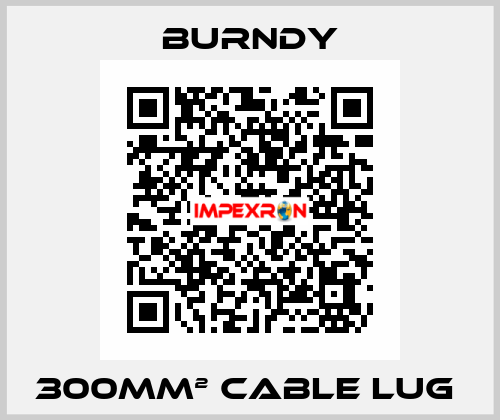 300mm² cable lug  Burndy