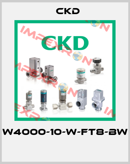W4000-10-W-FT8-BW  Ckd