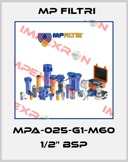 MPA-025-G1-M60    1/2" BSP MP Filtri