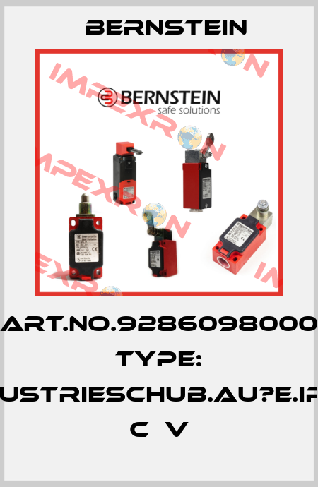 Art.No.9286098000 Type: INDUSTRIESCHUB.AU?E.IP65  C  V Bernstein