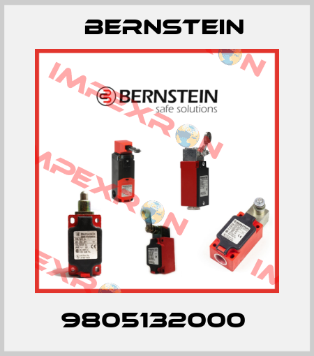 9805132000  Bernstein