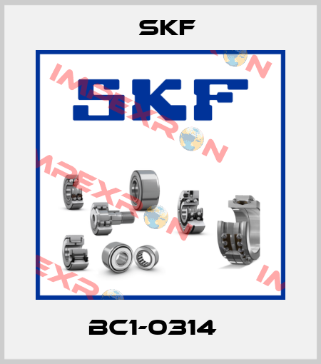 BC1-0314   Skf