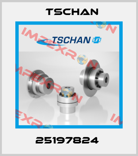 25197824  Tschan