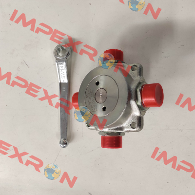 4KH 20S 13 3123 1 X-07 135° RASo Pister