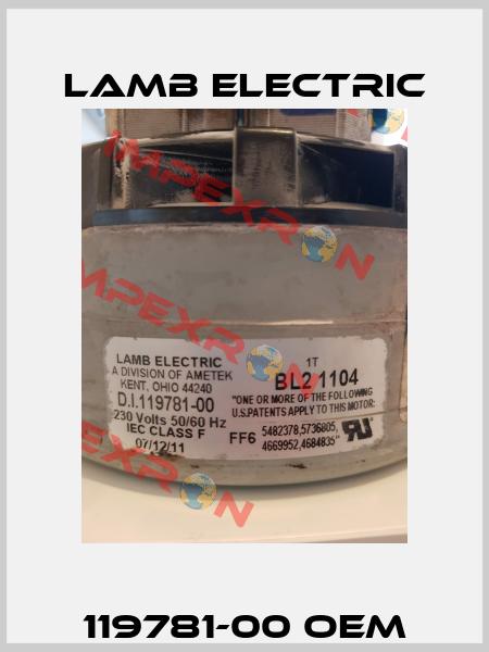 119781-00 OEM Lamb Electric