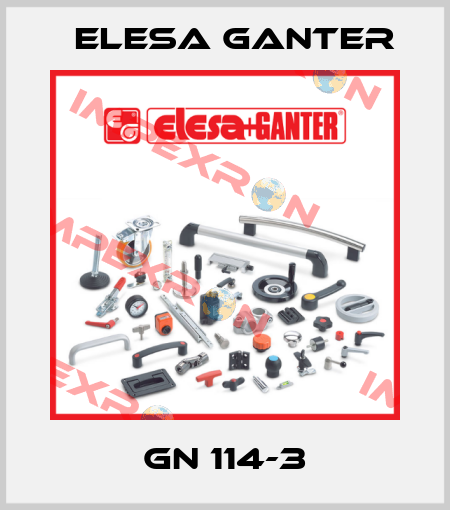 GN 114-3 Elesa Ganter