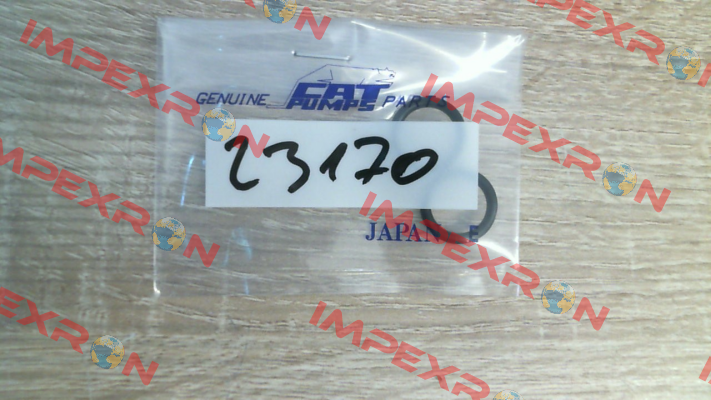 23170 Cat Pumps