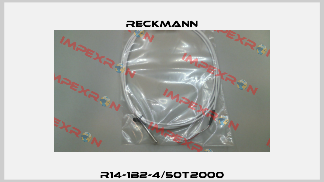 R14-1B2-4/50T2000 Reckmann