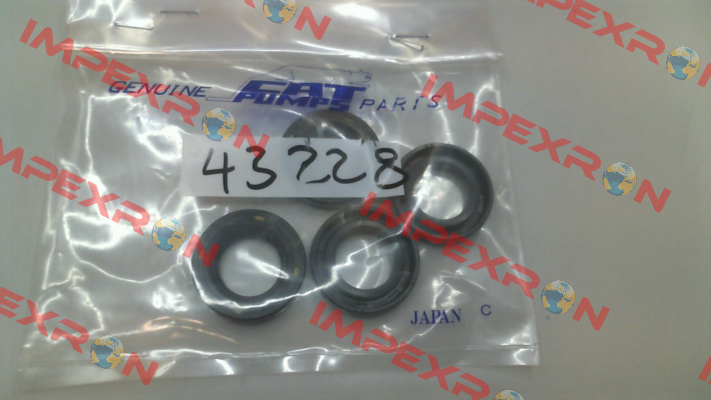 43228 Cat Pumps