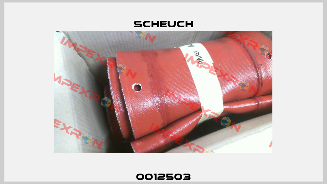 0012503 Scheuch